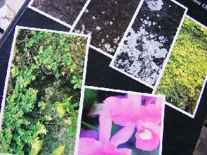 biblioteca 137 copy.jpg